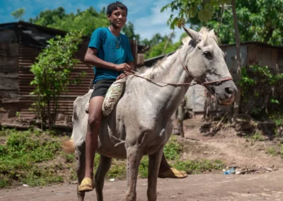 Working horse in Nicaragua.