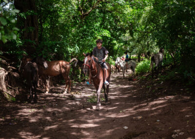 Working horse in Nicaragua.