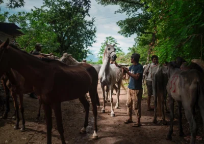 Working horse in Nicaragua.