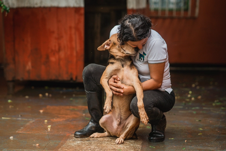 National Nonprofit Day/International Homeless Animals Day 2024