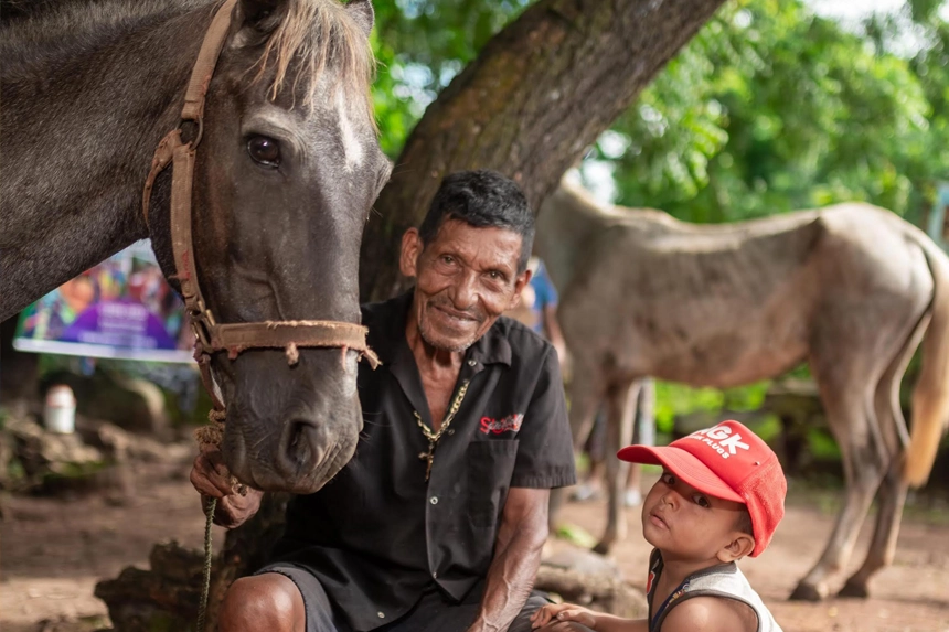 Helping 84 Horses in One Day