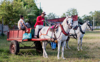 Horse Health is Public Health