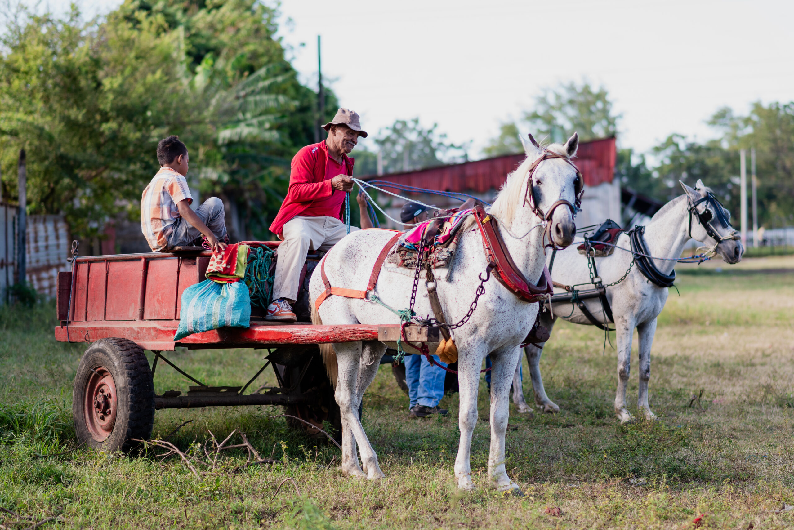 Families in La Laguna Nicaragua use working horses and carts like these to carry water to their houses several times a week. 