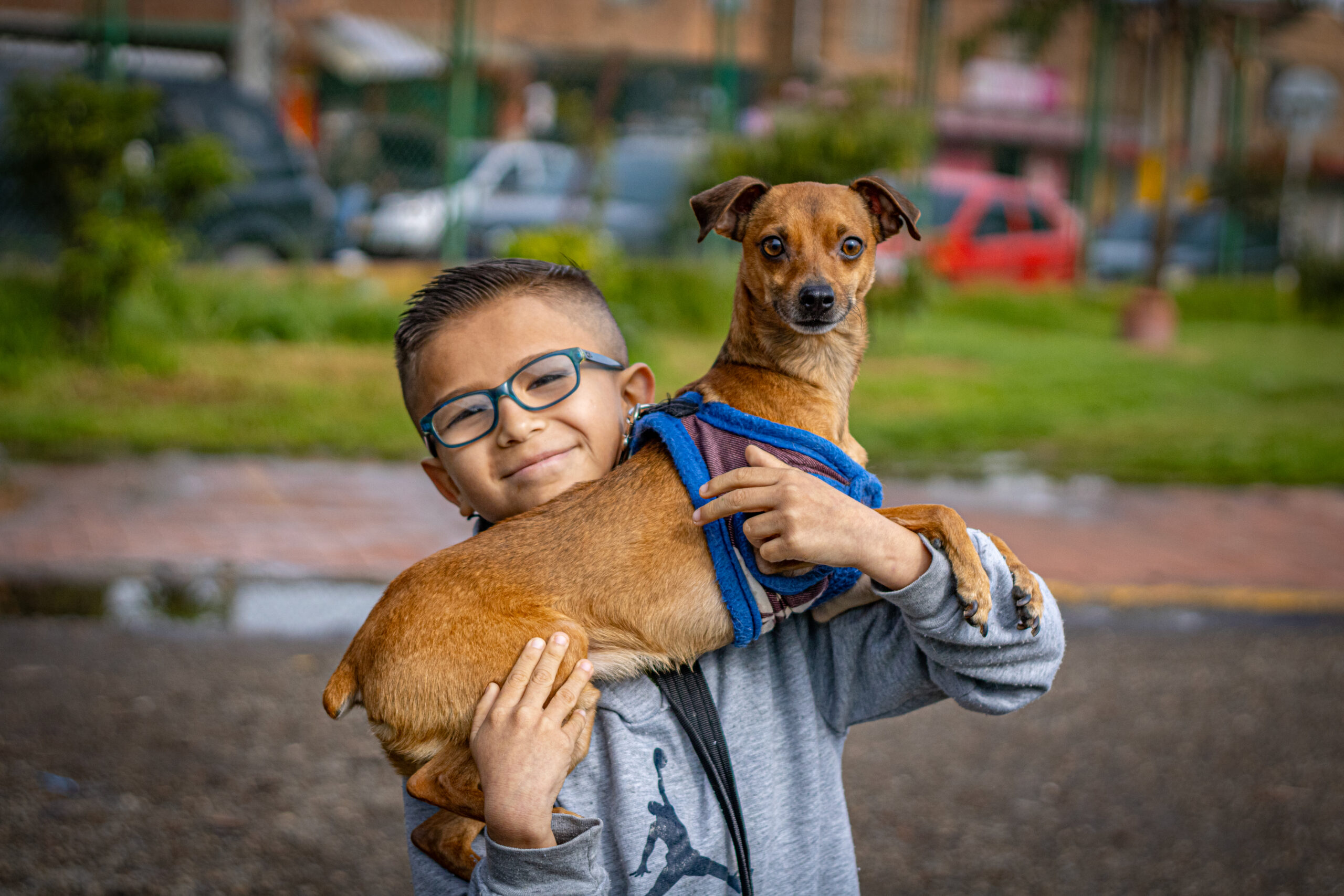 Sometimes even the most loving owners cannot afford vet care for their pets--including spay and neuter services.