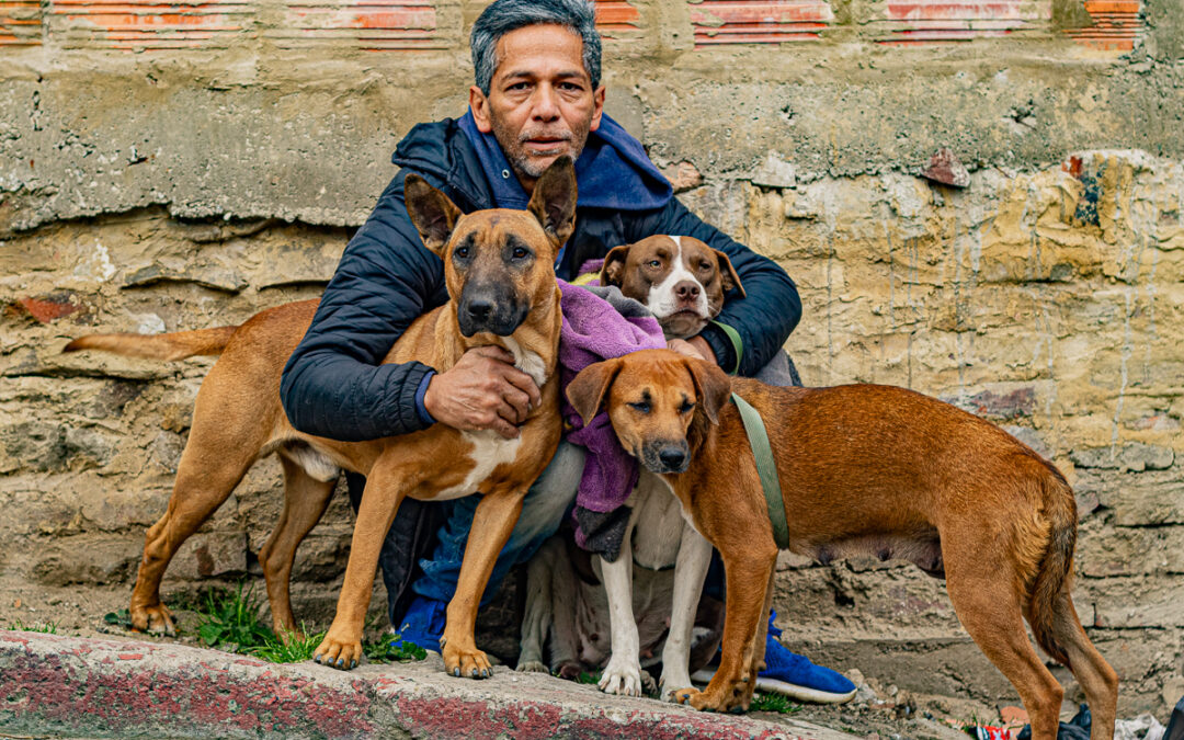 Beyond Rescue: The Power of Spay and Neuter to Transform Communities