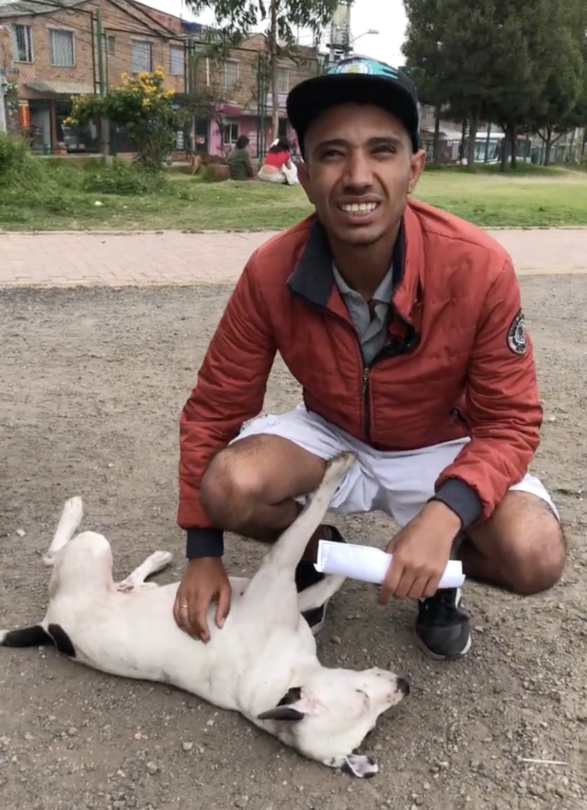 Brave white puppy doesn't just love belly rubs.  He is also fiercely loyal. 