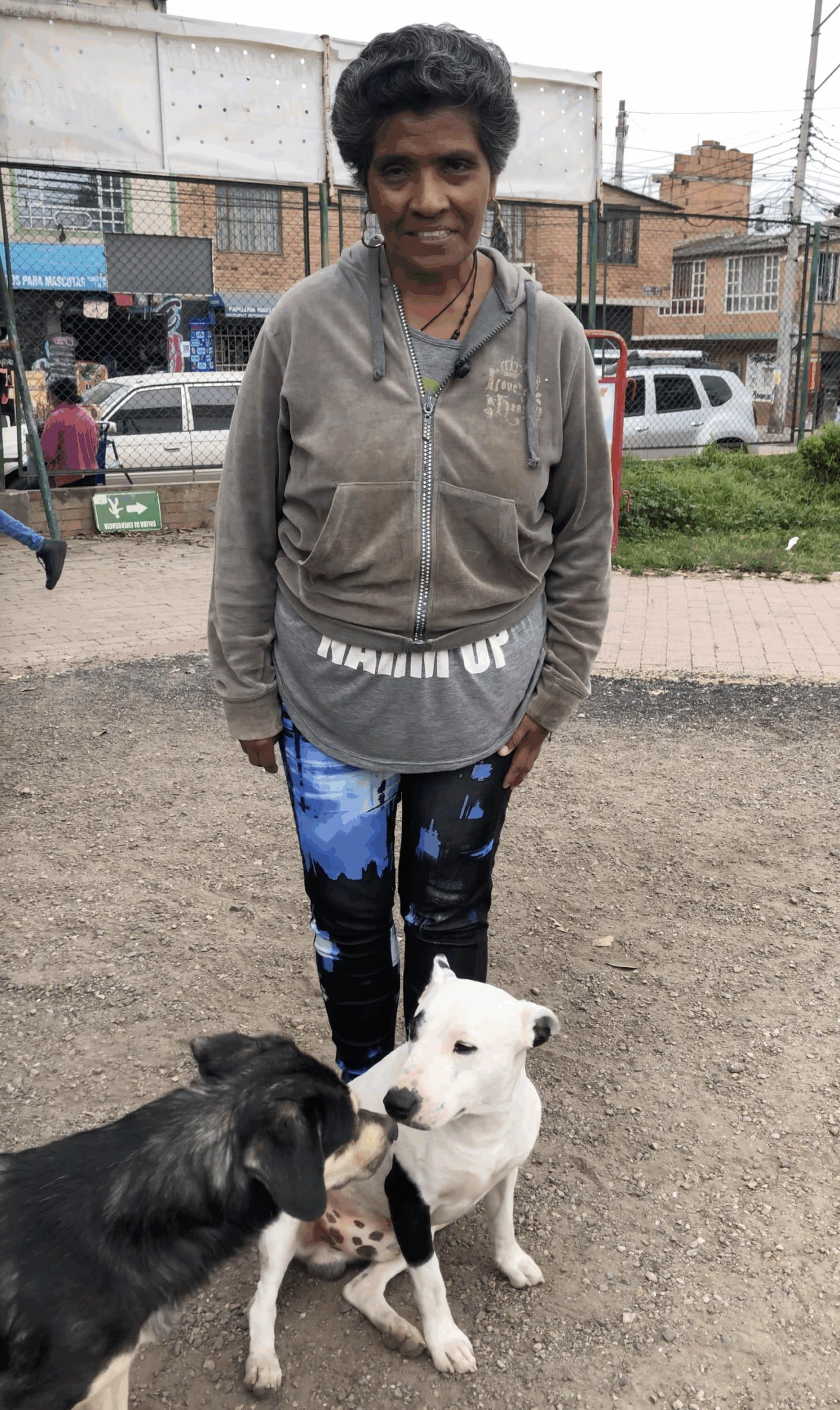 Zaiko hangs out with his owner and another dog at the pop up clinic.