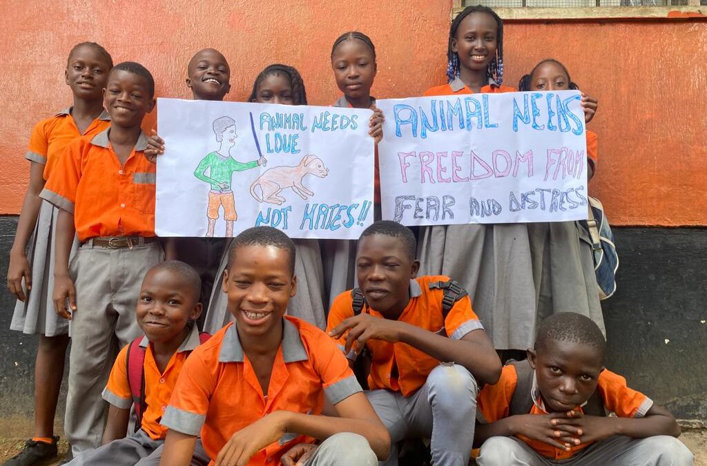 UN Day Marks the Moment to Propose a Global, Binding Law for All Animals
