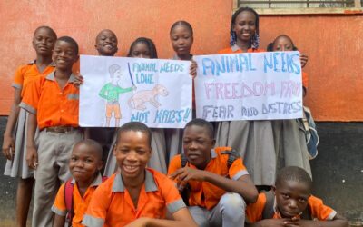 UN Day Marks the Moment to Propose a Global, Binding Law for All Animals