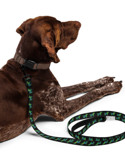 Pet leash