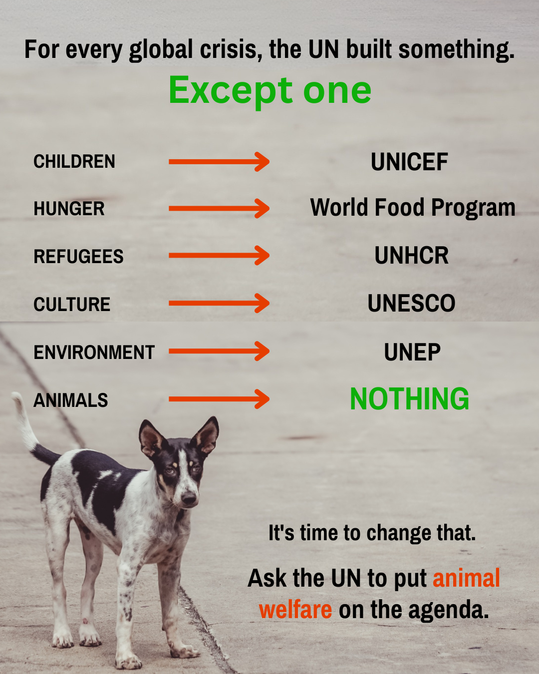 Infographic with dog. The UN built an institution to help every crisis except one. 