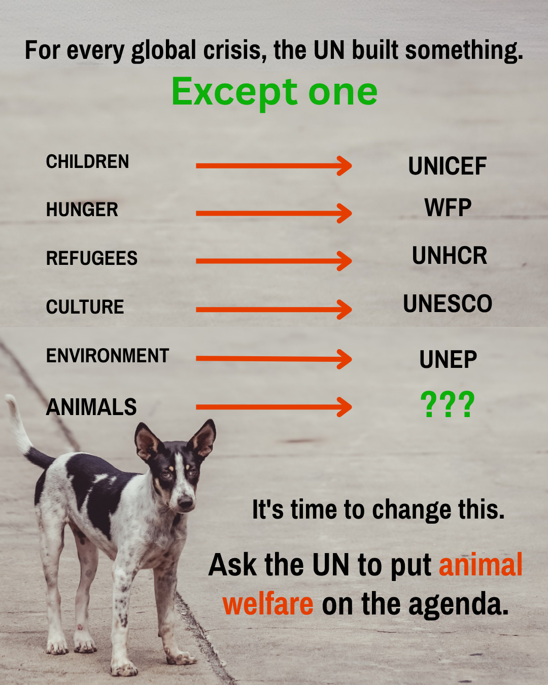 Infographic with dog. The UN built an institution to help every crisis except one. 