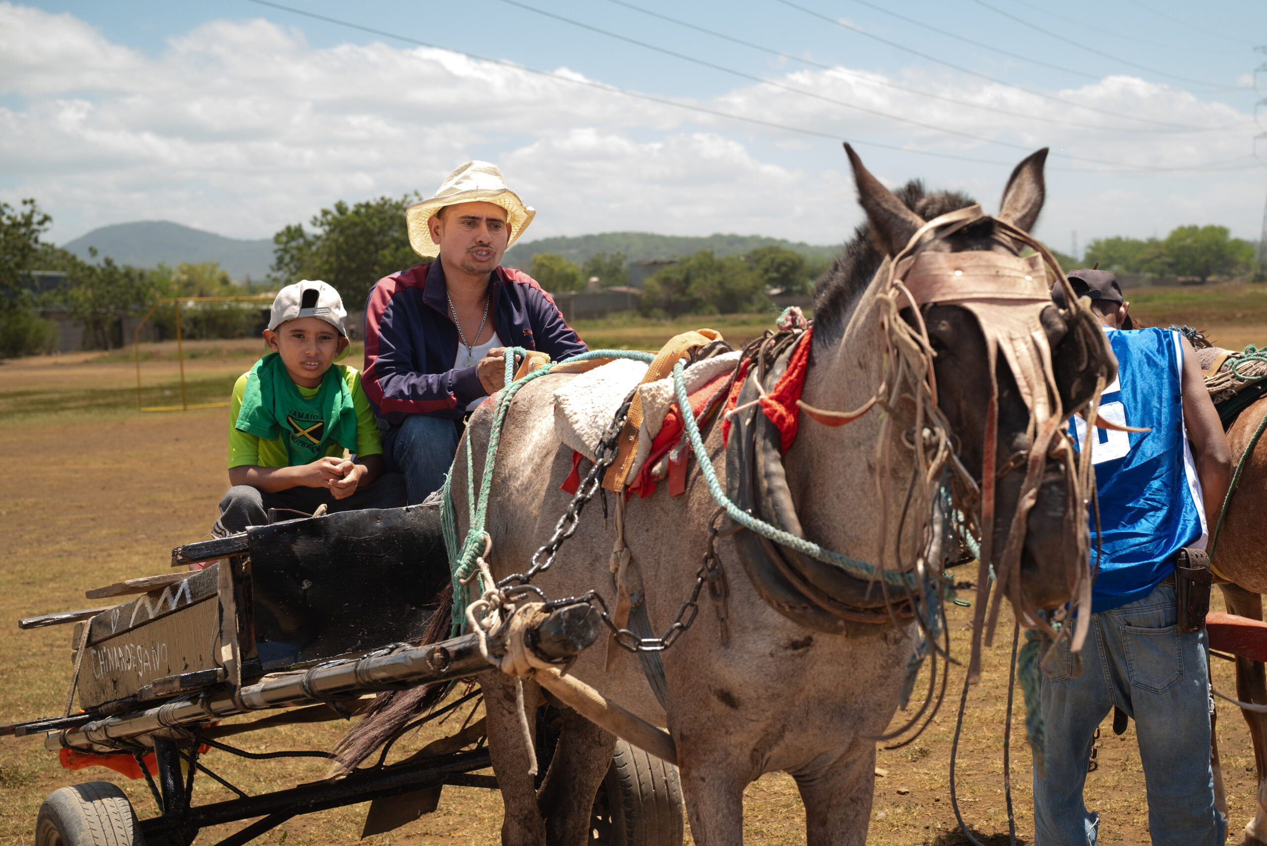 Working horse in Nicaragua.